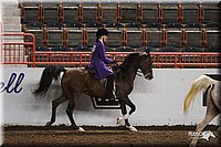 4H-State-Show-2005-0939.jpg