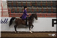 4H-State-Show-2005-0943.jpg