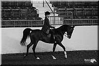 4H-State-Show-2005-0945.jpg