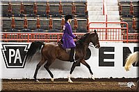 4H-State-Show-2005-0961.jpg