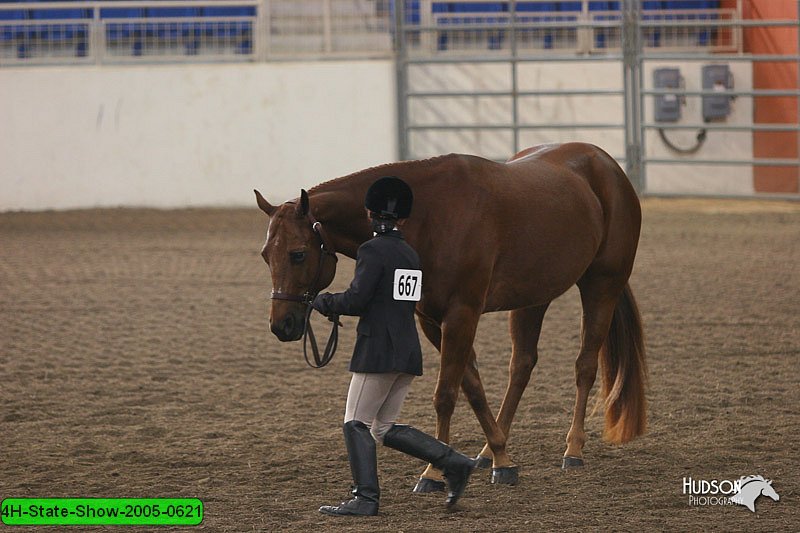 4H-State-Show-2005-0621.jpg