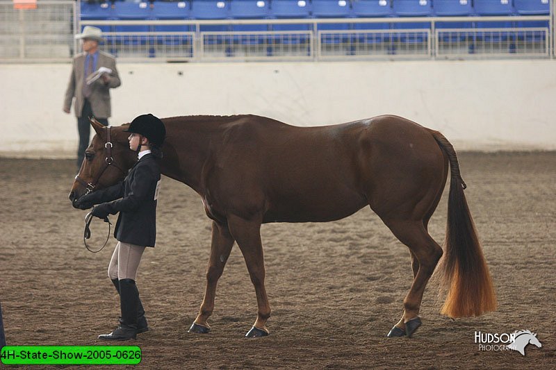 4H-State-Show-2005-0626.jpg