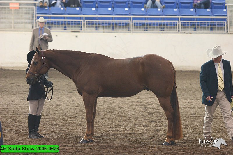 4H-State-Show-2005-0628.jpg