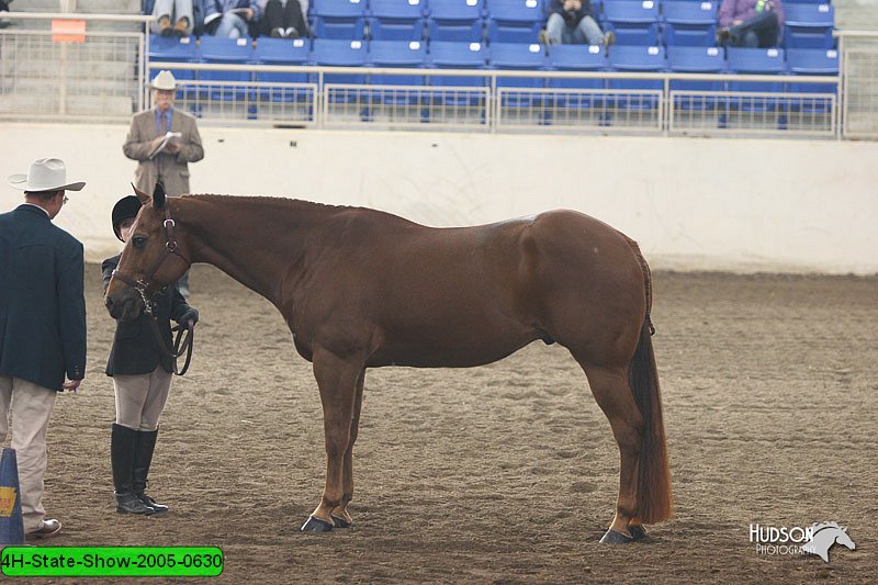 4H-State-Show-2005-0630.jpg