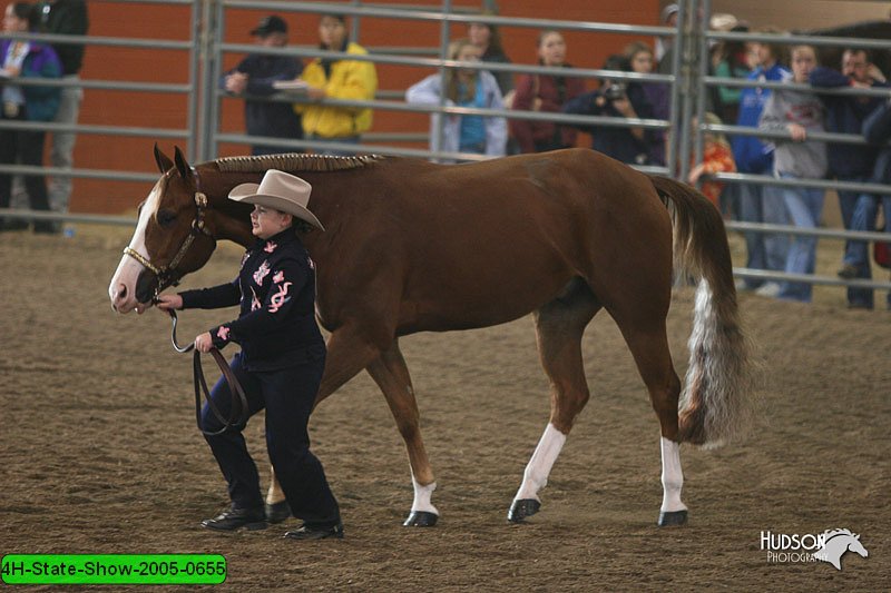 4H-State-Show-2005-0655.jpg