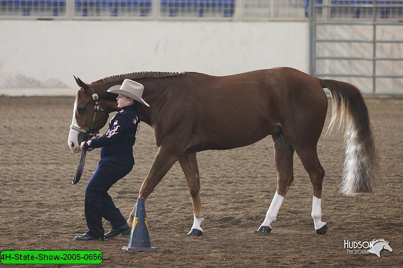 4H-State-Show-2005-0656.jpg