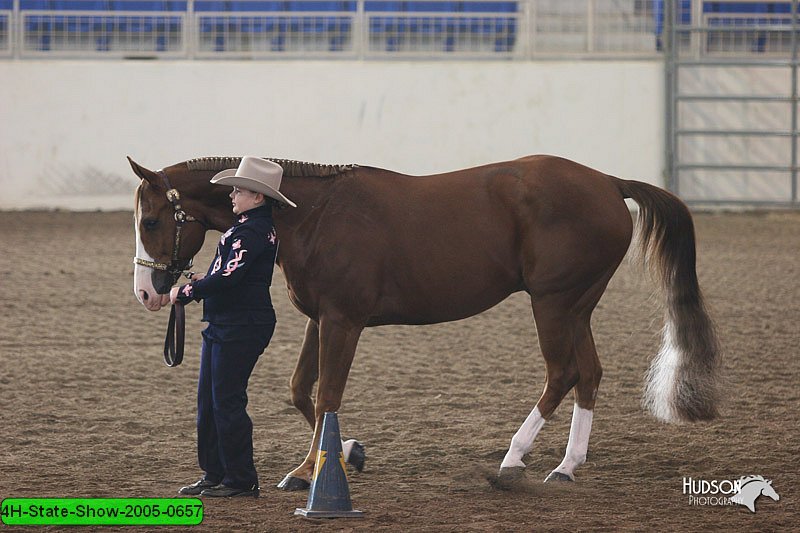 4H-State-Show-2005-0657.jpg