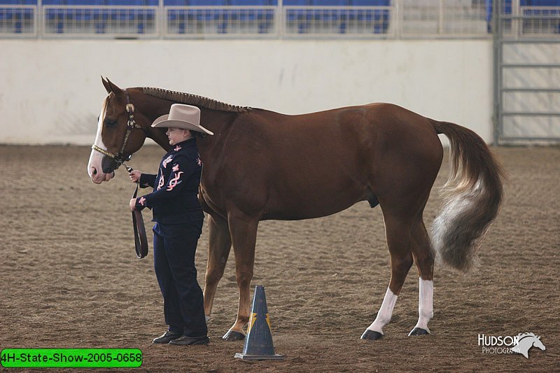 4H-State-Show-2005-0658.jpg