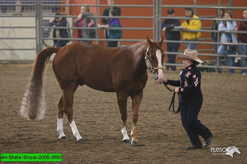 4H-State-Show-2005-0660.jpg