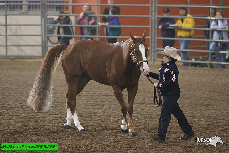 4H-State-Show-2005-0661.jpg