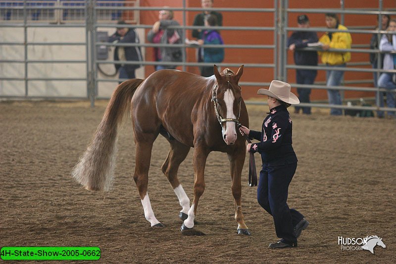 4H-State-Show-2005-0662.jpg