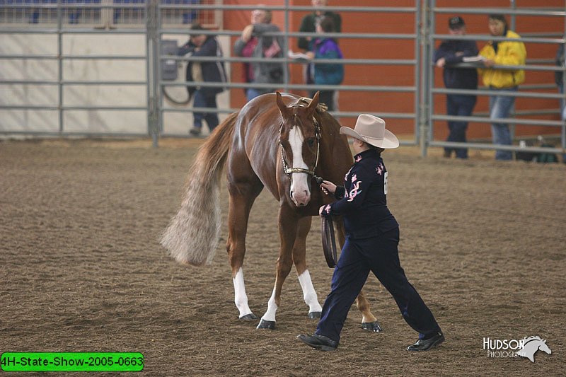 4H-State-Show-2005-0663.jpg