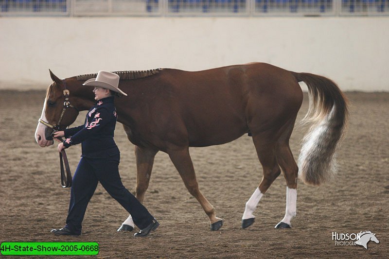 4H-State-Show-2005-0668.jpg