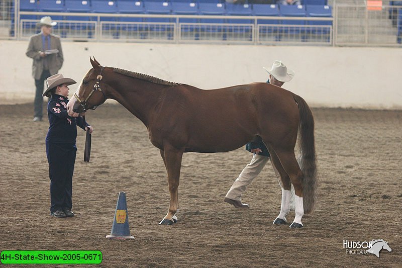 4H-State-Show-2005-0671.jpg