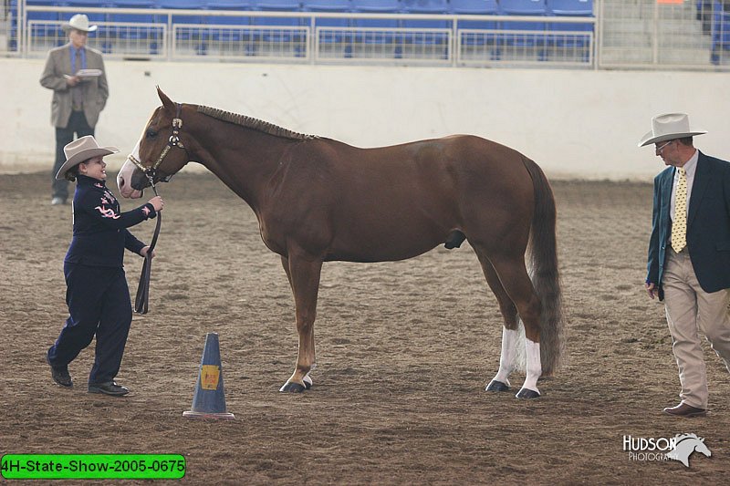 4H-State-Show-2005-0675.jpg