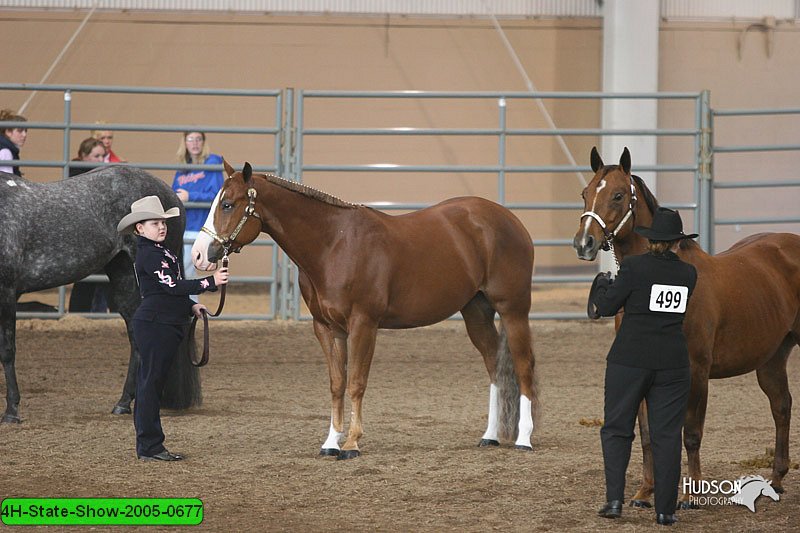 4H-State-Show-2005-0677.jpg