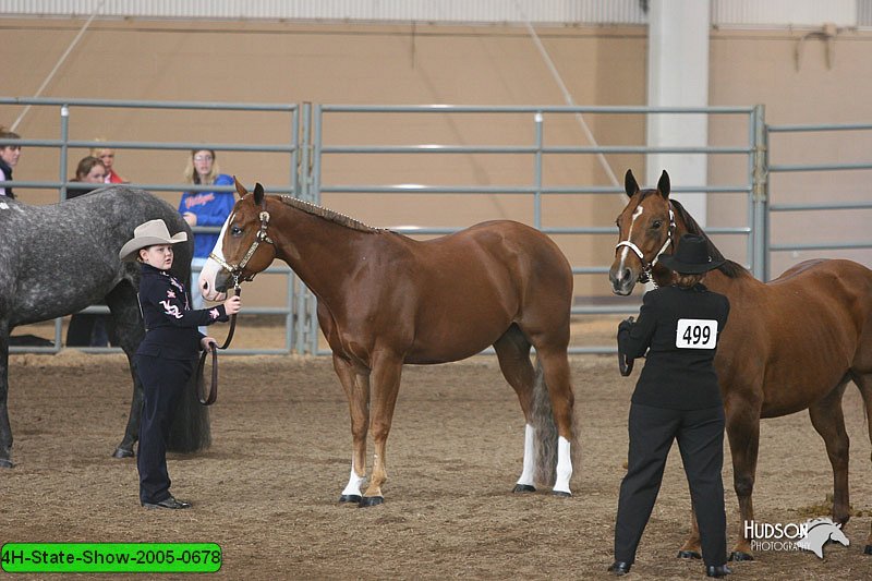 4H-State-Show-2005-0678.jpg