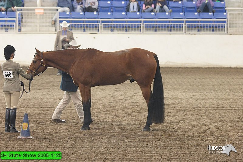 4H-State-Show-2005-1125.jpg