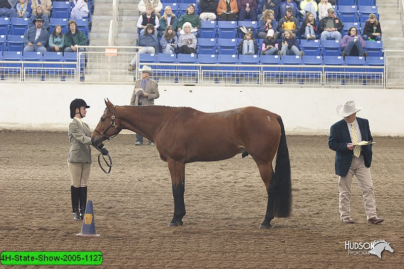 4H-State-Show-2005-1127.jpg