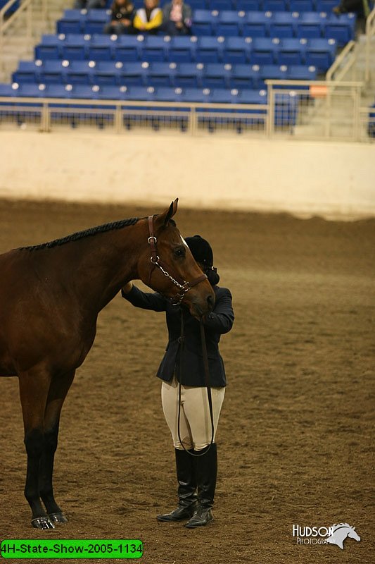 4H-State-Show-2005-1134.jpg