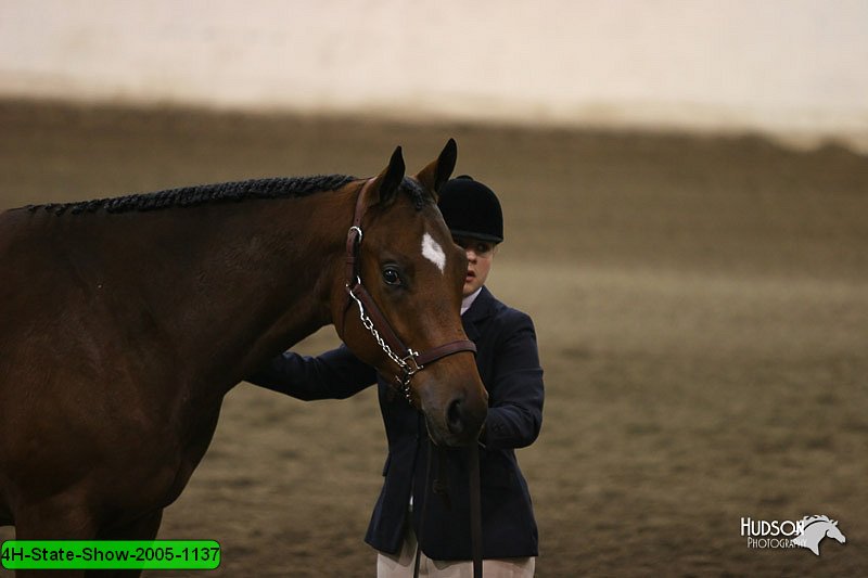 4H-State-Show-2005-1137.jpg