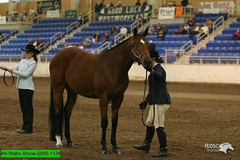 4H-State-Show-2005-1138.jpg