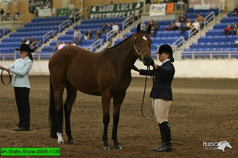 4H-State-Show-2005-1139.jpg