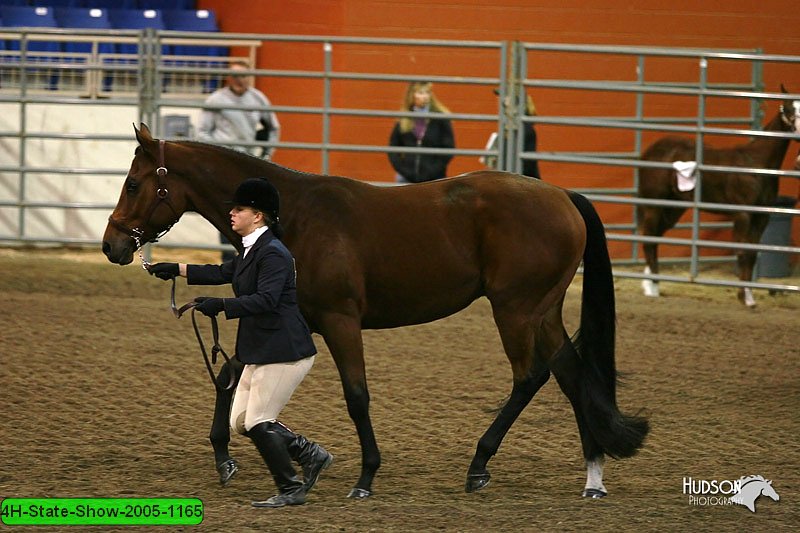 4H-State-Show-2005-1165.jpg