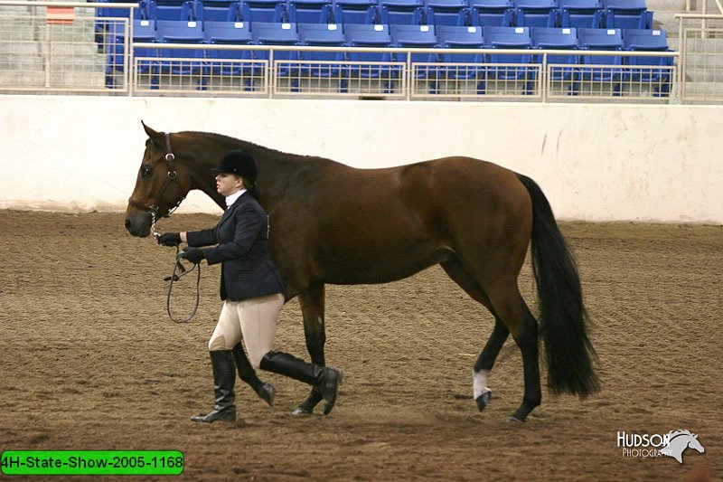 4H-State-Show-2005-1168.jpg