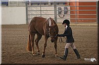 4H-State-Show-2005-0617.jpg