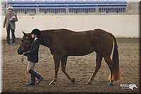 4H-State-Show-2005-0624.jpg