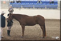 4H-State-Show-2005-0629.jpg