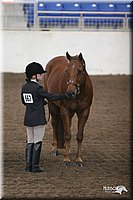 4H-State-Show-2005-0633.jpg