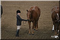 4H-State-Show-2005-0635.jpg