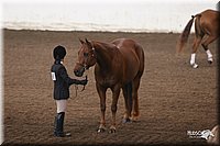 4H-State-Show-2005-0636.jpg