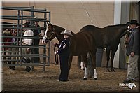 4H-State-Show-2005-0644.jpg