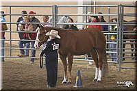 4H-State-Show-2005-0648.jpg