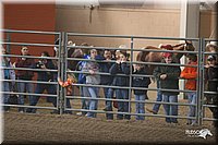 4H-State-Show-2005-0649.jpg