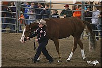 4H-State-Show-2005-0651.jpg