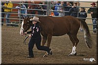 4H-State-Show-2005-0653.jpg