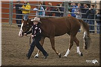 4H-State-Show-2005-0654.jpg