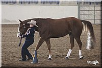 4H-State-Show-2005-0656.jpg