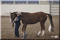 4H-State-Show-2005-0657.jpg