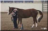 4H-State-Show-2005-0658.jpg