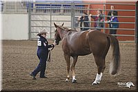 4H-State-Show-2005-0659.jpg