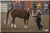 4H-State-Show-2005-0660.jpg