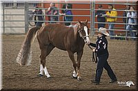 4H-State-Show-2005-0661.jpg