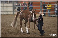 4H-State-Show-2005-0662.jpg