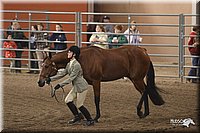 4H-State-Show-2005-1111.jpg