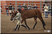 4H-State-Show-2005-1113.jpg